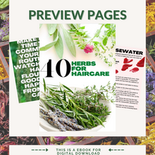 Load image into Gallery viewer, Herbal Holistic Haircare Guide Vol 1
