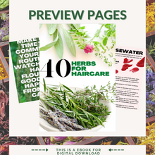 Load image into Gallery viewer, Herbal Holistic Haircare Guide Vol 1
